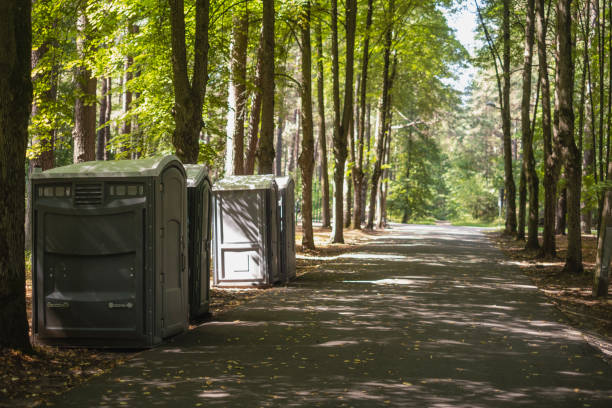 Best Porta potty rental for festivals  in Battle Mountain, NV
